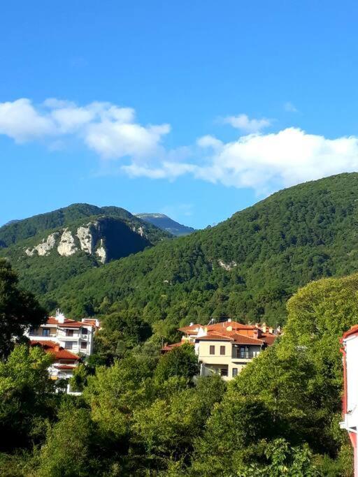 Olympus Veranda Mountain And Sea View! Litochoro