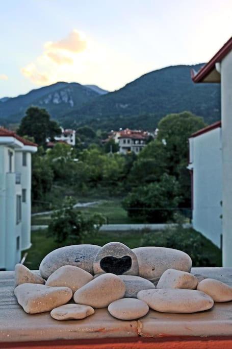 Apartment Olympus Veranda Mountain And Sea View!
